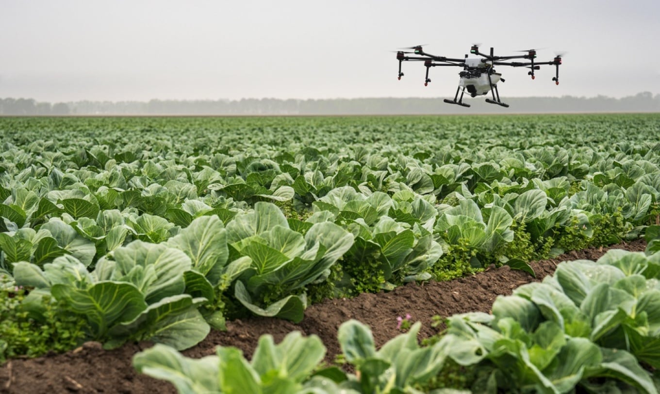 BE shqyrton legalizimin e dronëve për pesticide në bujqësi, por mbeten pikëpyetje