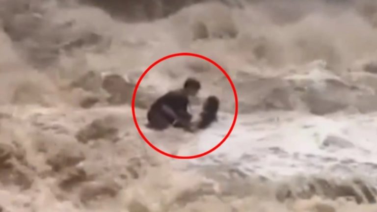 Video nga Tajlanda: turistët i merr rrëketa në ujëvarën Mae Sa, shpëtohen në sekondat e fundit
