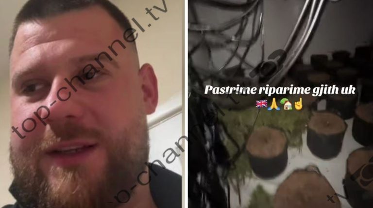 Daily Mail: shqiptarë në Angli reklamojnë pastrim për shtëpi bari dhe fshirje gjurmësh ADN-je