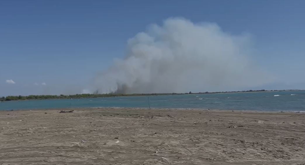 Zjarr i madh në Pishporo të Vlorës, flakët përhapen në pyllin me pisha
