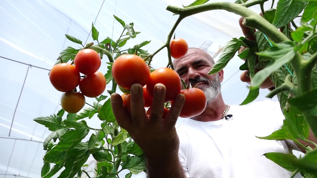 Importet ushqimore rriten me 69 mijë tonë, ndërsa bujqësia vendase humb terren