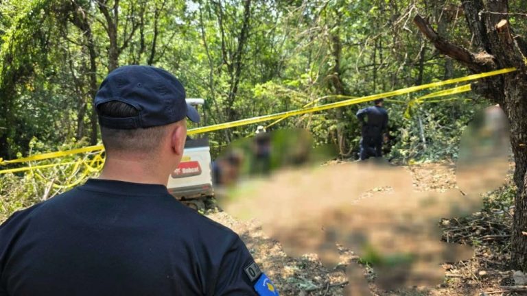 Zubin Potok: nis identifikimi me ADN i mbetjeve të 23 personave në varre masive