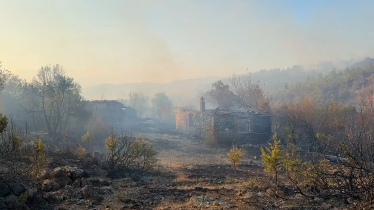 Zjarr i madh në Kashnjet të Lezhës, dy helikopterë në ajër dhe banesa të djegura