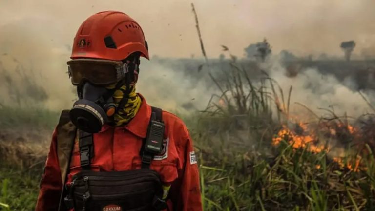 Zjarret në Indonezi dalin jashtë kontrollit, miliona njerëz nën mjegullën toksike