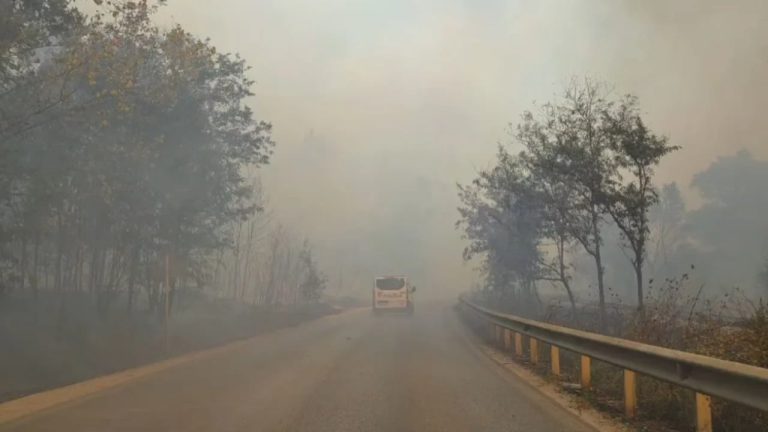 Zjarret në Fier: një i arrestuar dhe një i proceduar pas dy vatrave në Daullas e Kreshpan
