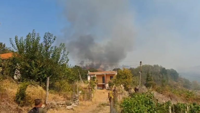 Zjarret në Shkodër dalin në disa fronte, Tërbuni në Pukë mbetet pika më problematike