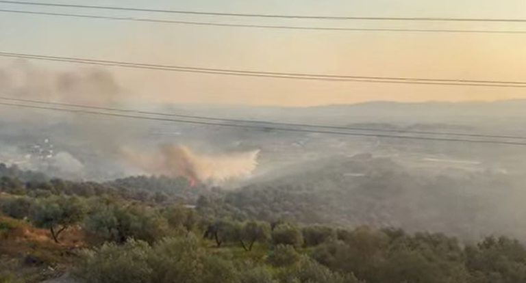 Zjarri në Krastë dhe Halil, Aulon Kalaja ngre alarmin: Duhet më shumë ndërhyrje nga ajri