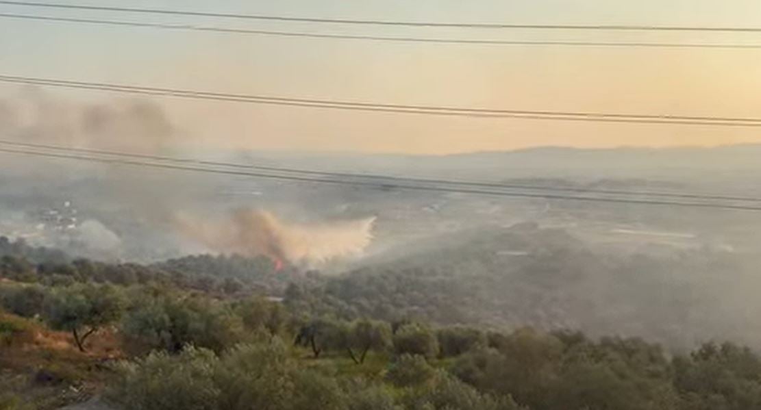 Zjarri në Krastë dhe Halil, Aulon Kalaja ngre alarmin: Duhet më shumë ndërhyrje nga ajri
