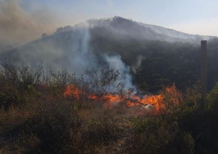 Zjarr në Finiq, flakët iu afruan banesave në Aliko; digjen pemë dhe shkurre