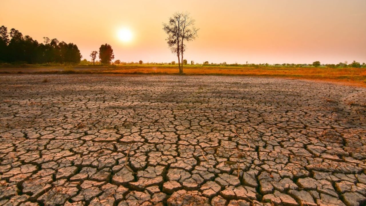 September begins with extreme temperatures after the hottest August ever recorded