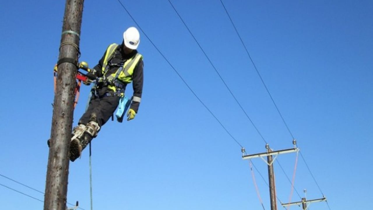 Belsh, humb jetën një elektricist i OSHEE gjatë riparimit të linjës elektrike