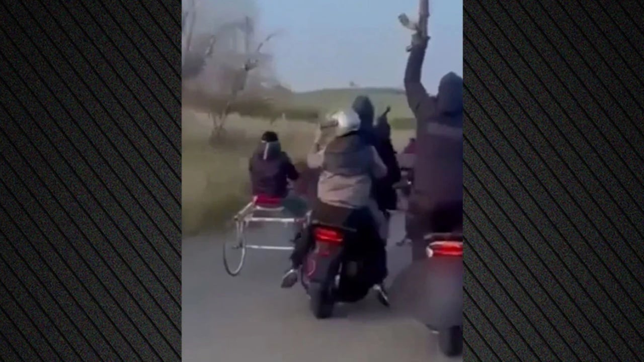 Garë e paligjshme me kuaj dhe të shtëna në autostradë, arrest në Catania për lidhje mafioze