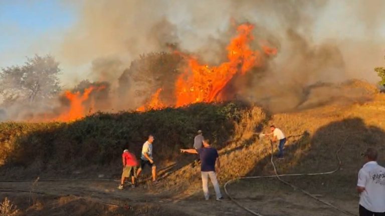 Zjarri në kodrat e Apolonisë del jashtë kontrollit, flakët afrohen pranë banesave