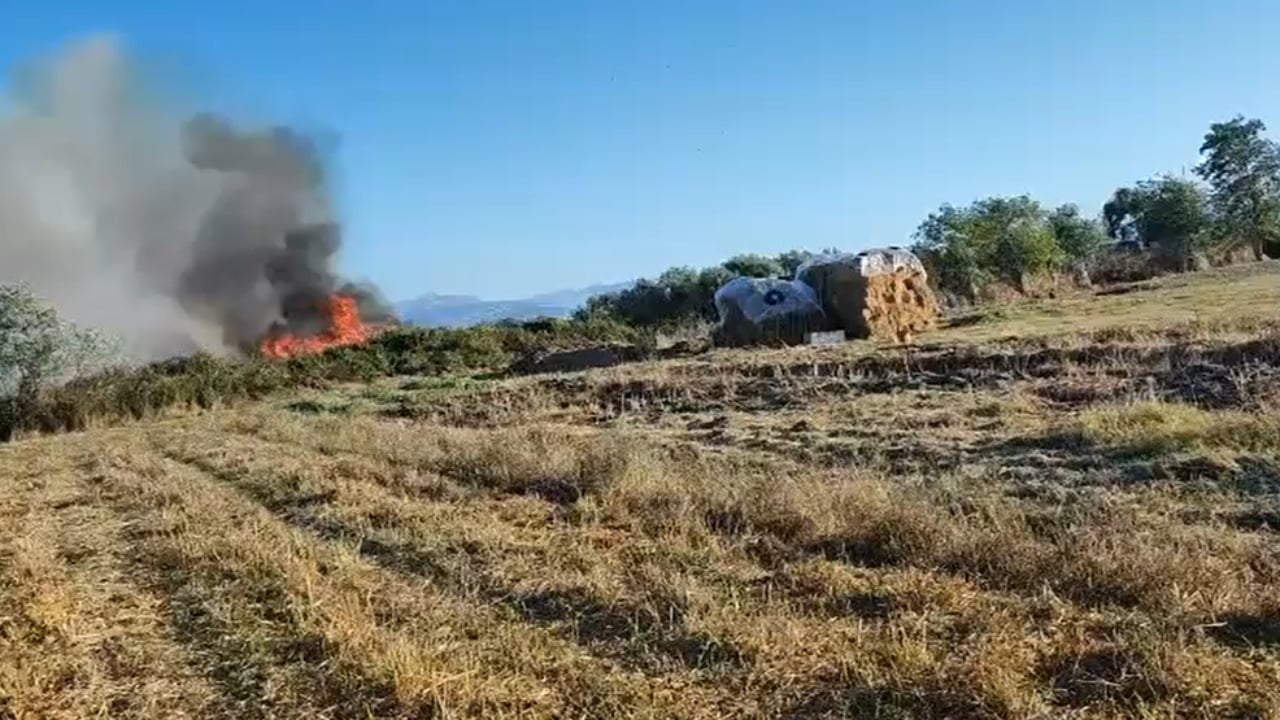 Fire in Jalli of Narta, wind pushes flames toward homes on the outskirts of the village