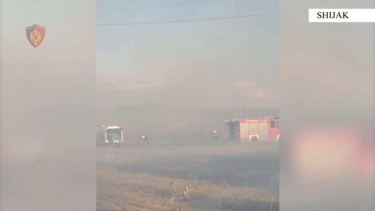 Zjarr pranë banesave në Shijak, arrestohet 46-vjeçari që dyshohet se e ndezi në tokën e tij