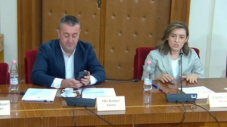 Përplasje në Komisionin e Ligjeve për reformën territoriale, Mziu dhe Çaushi me akuza