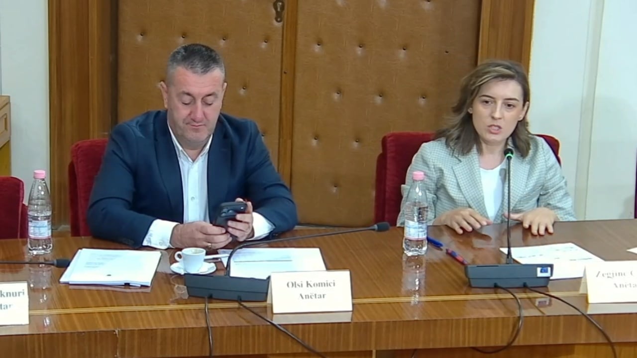 Përplasje në Komisionin e Ligjeve për reformën territoriale, Mziu dhe Çaushi shkëmbejnë akuza