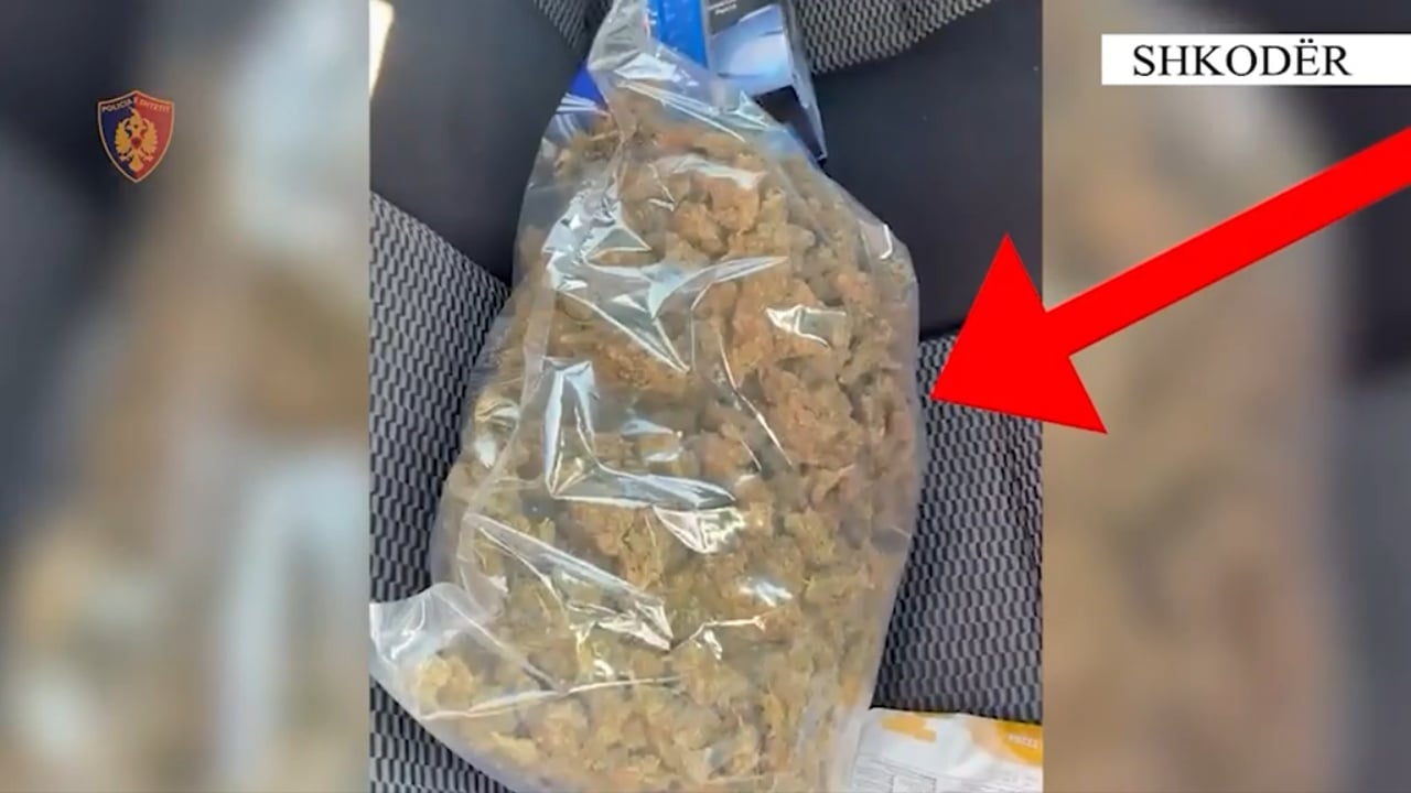 Shkodër, arrestohet 28-vjeçari me 1.5 kg kanabis pranë zonës së sigurisë së shkollave