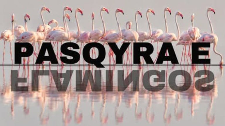 Rama promovon “Flamingo Mirror”: 127 mijë kërkime në 24 orë dhe 122 sulme kibernetike