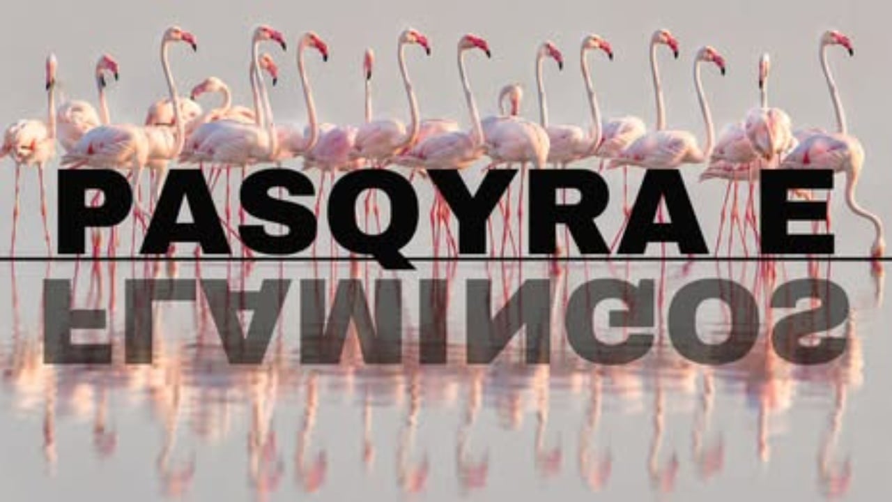 Rama promovon “Flamingo Mirror”: 127 mijë kërkime në 24 orë dhe 122 sulme kibernetike