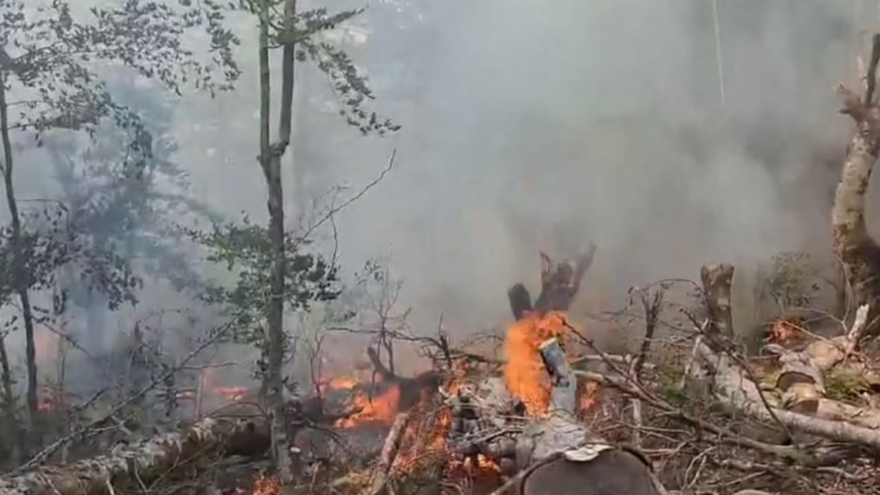 Zjarri në Gjinar del nga kontrolli, flakët përhapen në 10 hektarë dhe ngrihet helikopteri