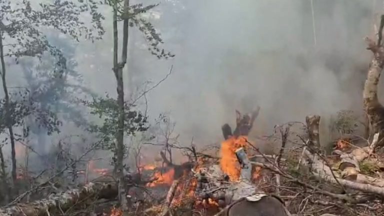 Zjarri në Gjinar prej ditësh jashtë kontrollit, banorët kërkojnë ndërhyrje nga ajri