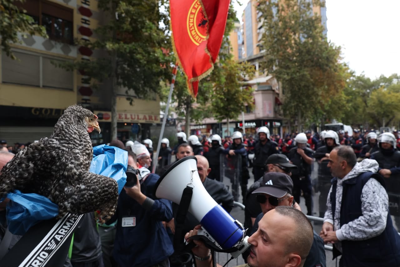PD mobilizon sërish protestën te Kuvendi, mesazh strukturave: Kthehuni në orën 18:00