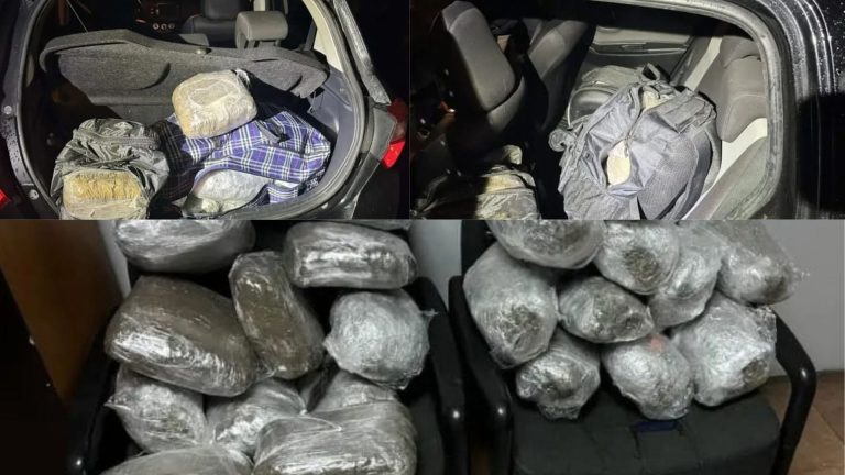 36 kg marijuanë në Janinë, arrestohen tre shqiptarë; dyshohet nisja nga zona e Sarandës