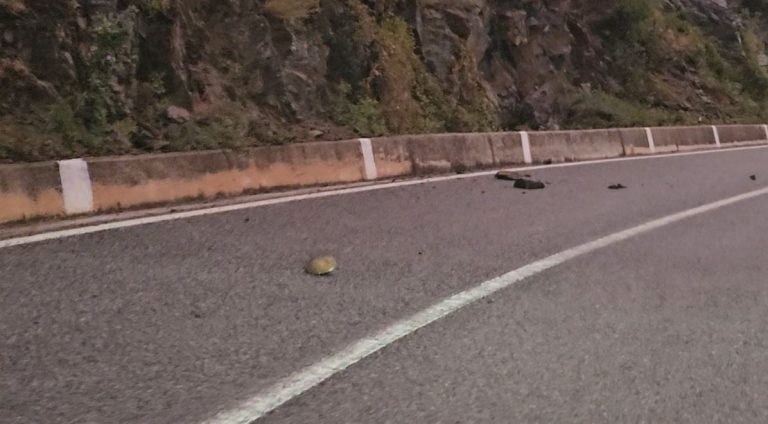 Shi i dendur në Kukës, gurë në akset kombëtare dhe mjegull që vështirëson qarkullimin