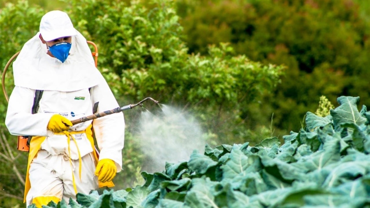KLSH ngre alarmin për pesticide të ndaluara: Ministria zgjati afatet përtej BE-së