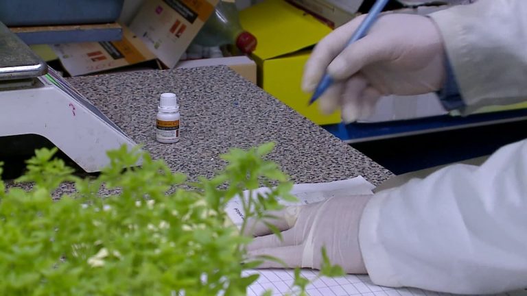 KLSH ngre alarmin për pesticidet: Ministria e Bujqësisë lejoi norma deri 100 herë mbi BE