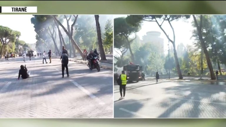 Parku Rinia nën ujë e gaz lotsjellës, policia shpërndan protestuesit dhe bën shoqërime